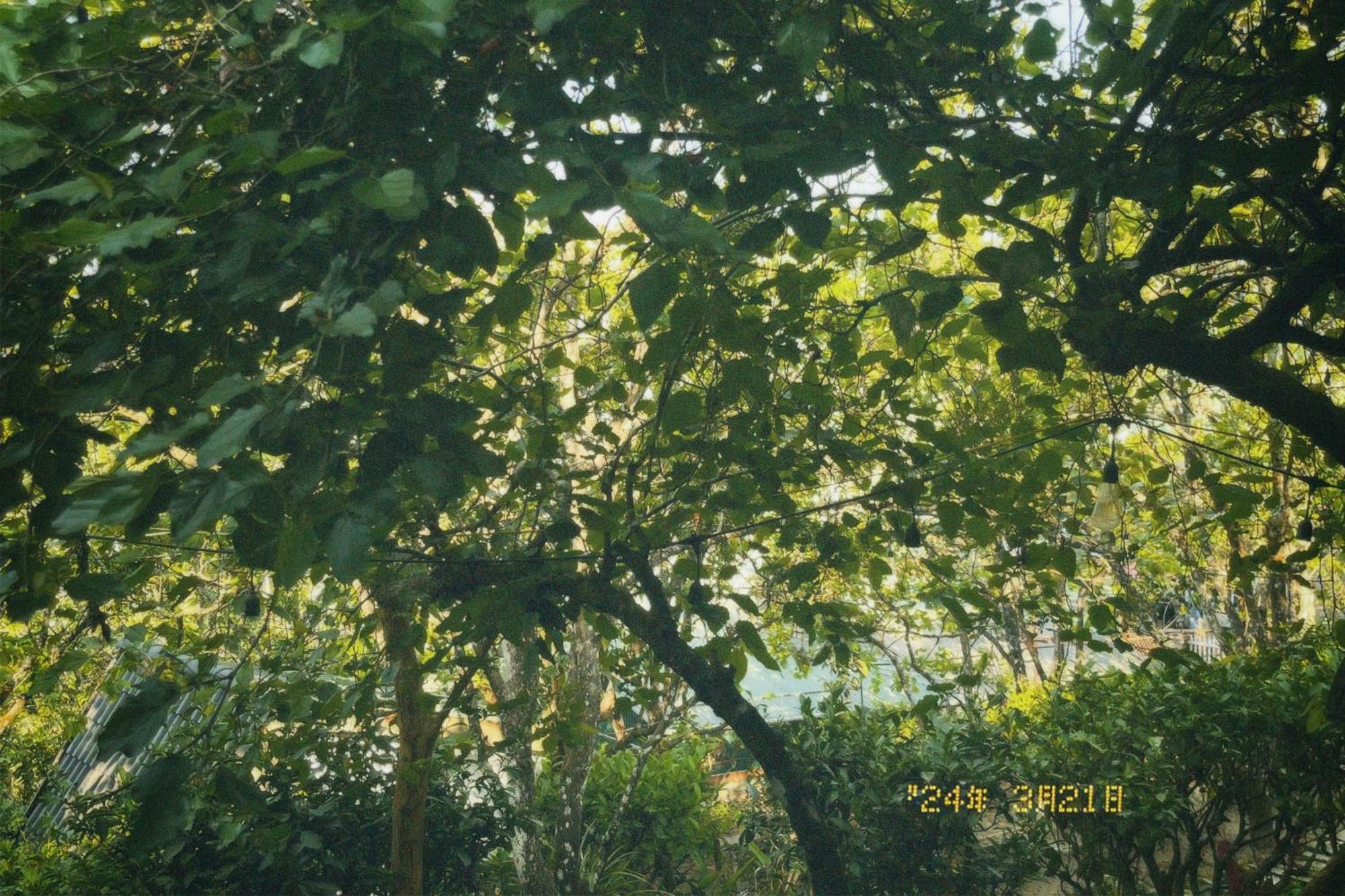 Đà Lạt TEEPEE Homestay Da Lat Exterior foto